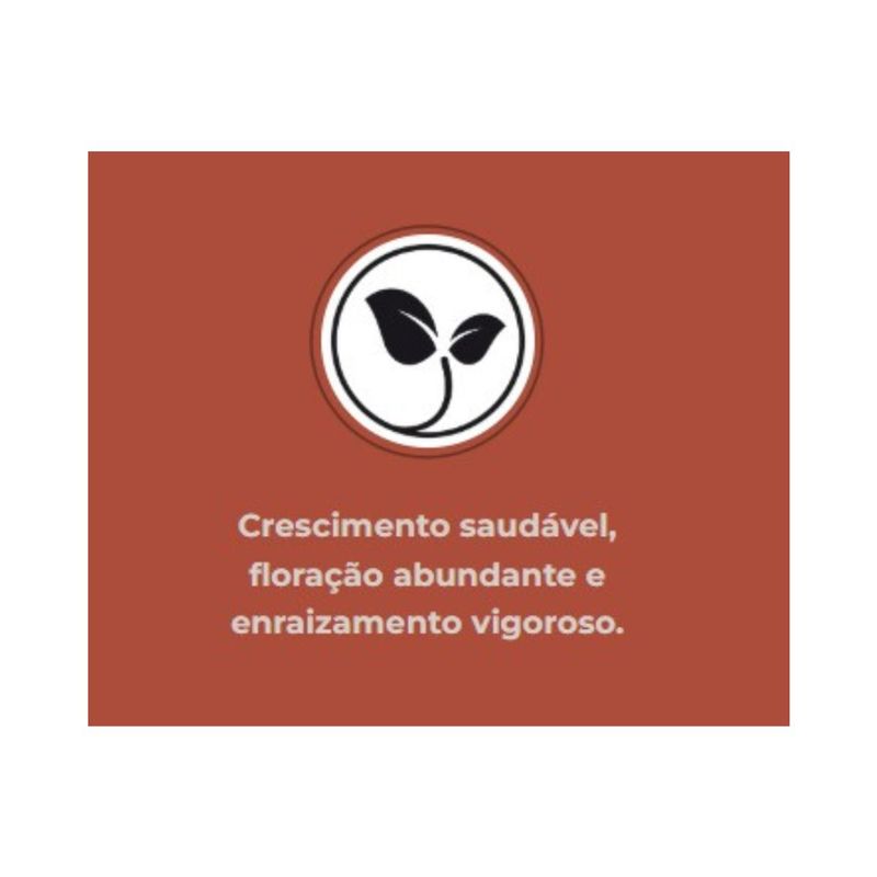 Fertilizante Nutriplan Vitaplan Rosa do Deserto para Plantio e Manuten  o 150g 8