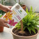 Fertilizante Nutriplan Vitaplan Torta de Mamona e Farinha de Ossos para Jardins e Plantas 1kg 4