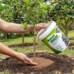 Fertilizante Forth para Jabuticabeira 400g 1