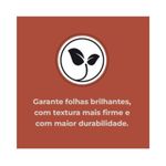 Fertilizante Nutriplan Vitaplan Samambaia para Plantio e Manuten  o 150g 2