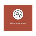 Fertilizante Nutriplan Vitaplan Orqu deas para Plantio e Manuten  o 150g 2