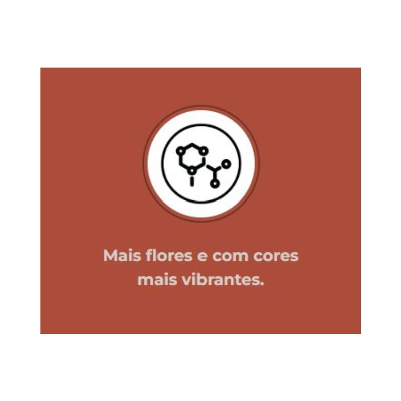 Fertilizante Nutriplan Vitaplan Rosas para Plantio e Manuten  o 150g 1