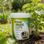 Fertilizante Forth Cote 15-09-12 para Plantas 400g 2