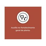 Fertilizante Nutriplan Vitaplan Samambaia para Plantio e Manuten  o 150g 3