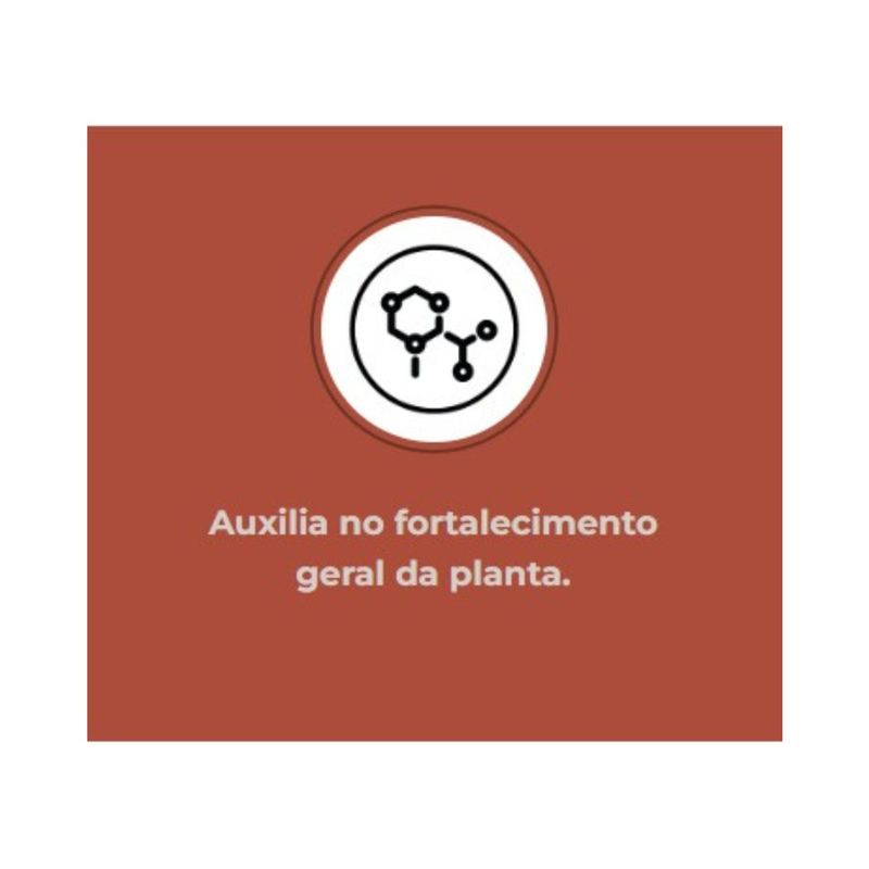 Fertilizante Nutriplan Vitaplan Samambaia para Plantio e Manuten  o 150g 3