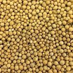 Fertilizante Forth Cote 14-14-14 para Plantas 400g 3