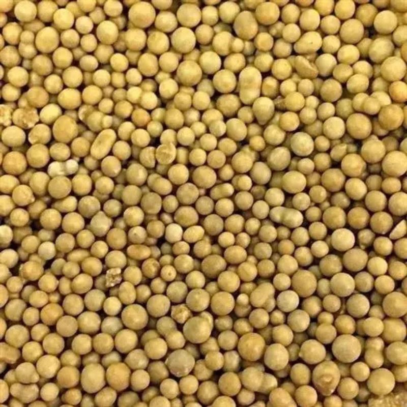 Fertilizante Forth Cote 14-14-14 para Plantas 400g 3
