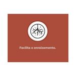 Fertilizante Nutriplan Vitaplan Enraizador para Ra zes 140ml 4