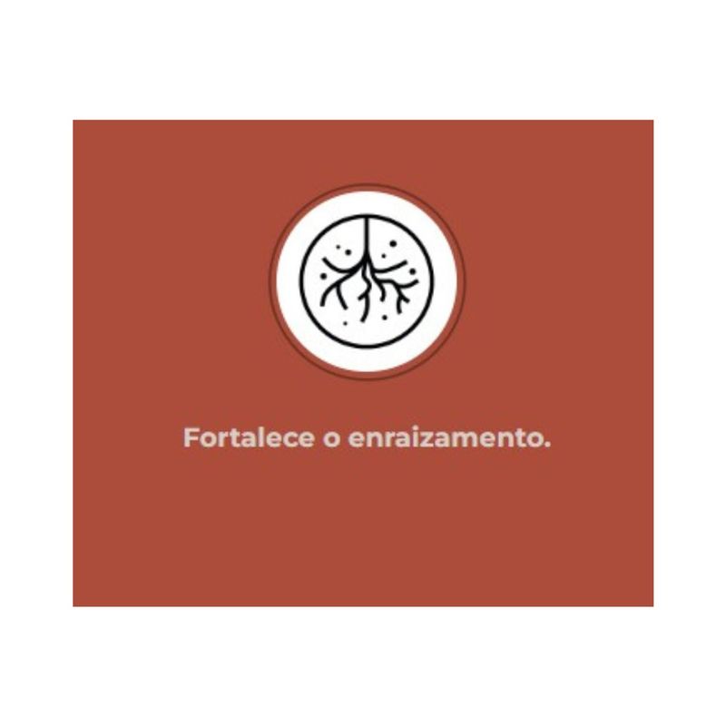 Fertilizante Nutriplan Vitaplan Violetas para Plantio e Manuten  o 150g 5