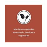 Fertilizante Nutriplan Vitaplan Cactos e Suculentas para Plantio e Manuten  o 150g 6