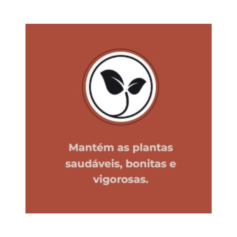 Fertilizante Nutriplan Vitaplan Cactos e Suculentas para Plantio e Manuten  o 150g 6