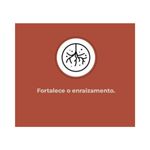 Fertilizante Nutriplan Vitaplan Cactos e Suculentas para Plantio e Manuten  o 150g 7