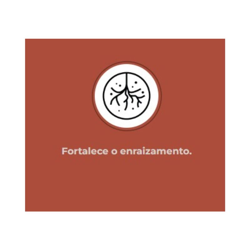 Fertilizante Nutriplan Vitaplan Cactos e Suculentas para Plantio e Manuten  o 150g 7