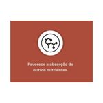 Fertilizante Nutriplan Vitaplan Salitre do Chile para Plantio e Manuten  o 500g 7