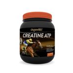 Suplemento Organnact Creatine ATP para Equinos 500g 0