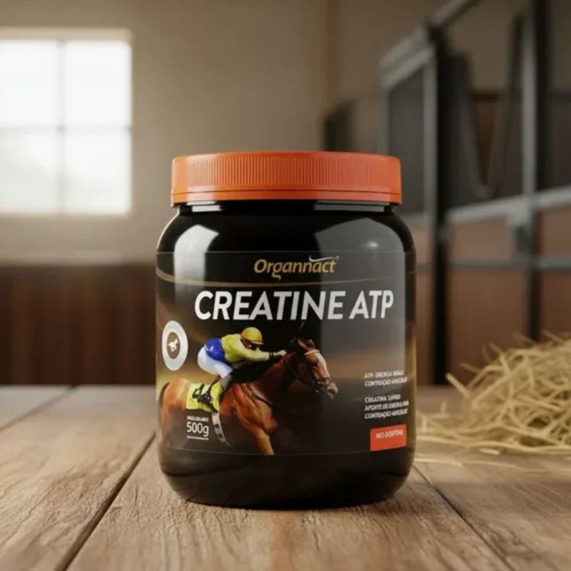 Suplemento Organnact Creatine ATP para Equinos 500g 1