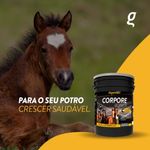 Suplemento Organnact Corpore Potros para Equinos 10kg 2