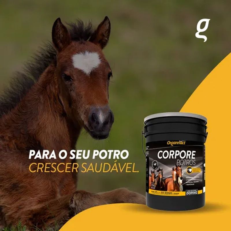 Suplemento Organnact Corpore Potros para Equinos 10kg 2