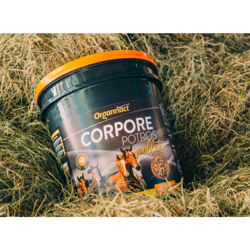 Suplemento Organnact Corpore Potros Pellets para Equinos 10kg 1