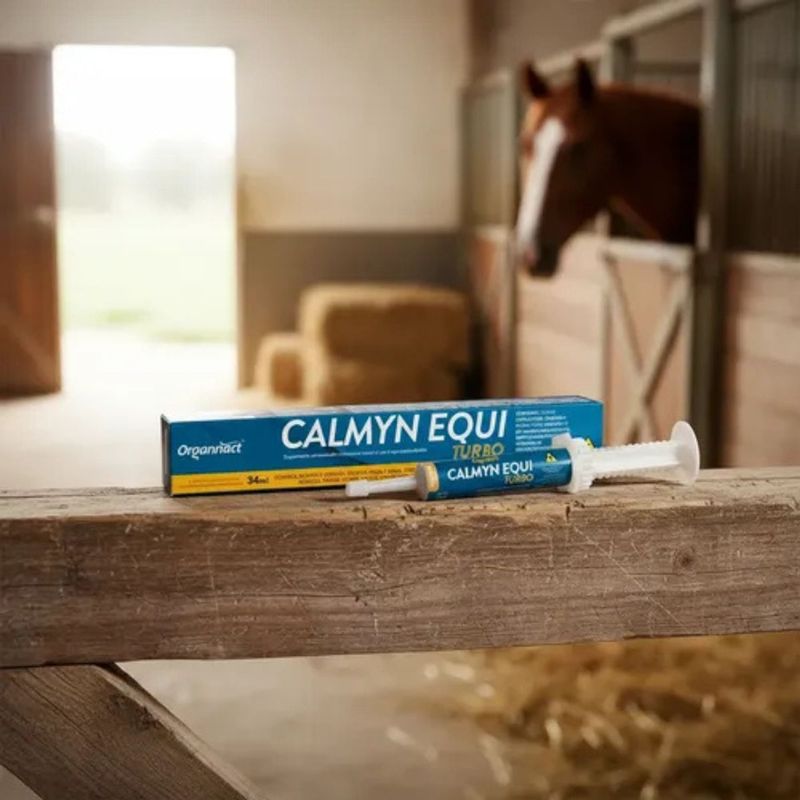 Suplemento Organnact Calmyn Equi Turbo Pasta para Equinos 34ml - Cont m 1 seringa  1