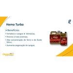 Suplemento Organnact Hemo Turbo para Equinos  Avestruzes  Pequenos Ruminantes e Su nos 1lt 5
