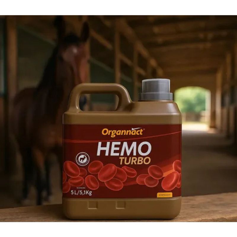 Suplemento Organnact Hemo Turbo para Equinos  Avestruzes  Pequenos Ruminantes e Su nos 5lts 1