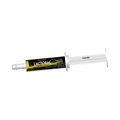 Suplemento Organnact Lactobac Equi para Equinos 66ml - Contém 1 seringa