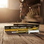 Suplemento Organnact Nutrifull Apetite Boost Equi para Equinos 34ml - Cont m 1 seringa 2