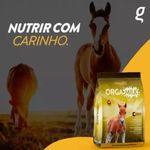 Suplemento Organnact Orga Milk Potros para Potros 10kg 3
