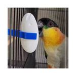 Suplemento Alcon Club S pia para Aves Ornamentais 47g 3