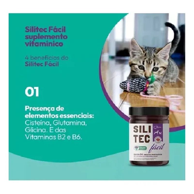Suplemento Syntec Silitec F cil para C es e Gatos 1 5g - Cont m 30 tabletes 2