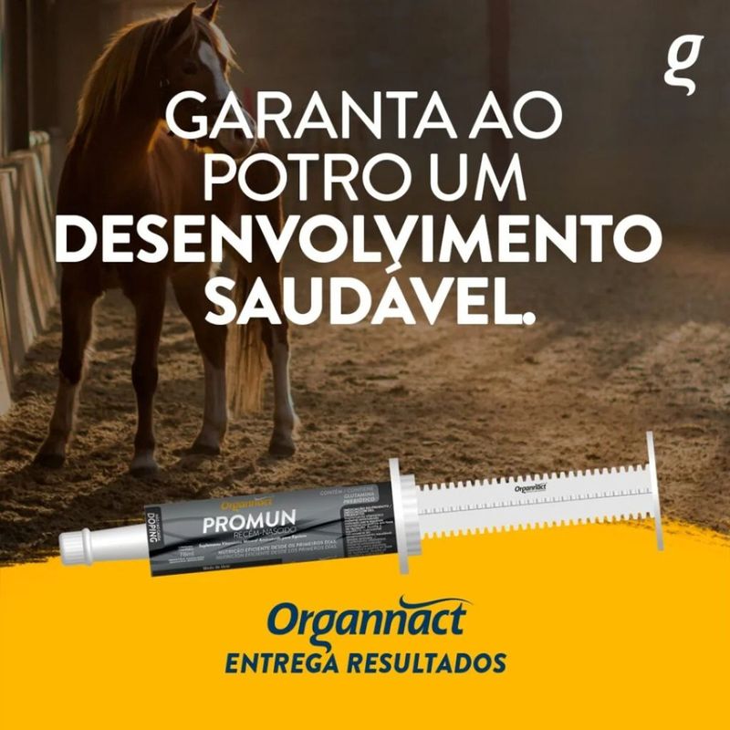 Suplemento Organnact Promun Rec m-Nascido para Potros 78ml - Cont m 1 seringa 3