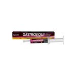 Suplemento Organnact Gastroequi Pasta para Cavalos 34ml - Cont m 1 seringa 0