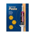 Suplemento Organnact Gastroequi Pasta para Cavalos 34ml - Cont m 1 seringa 3